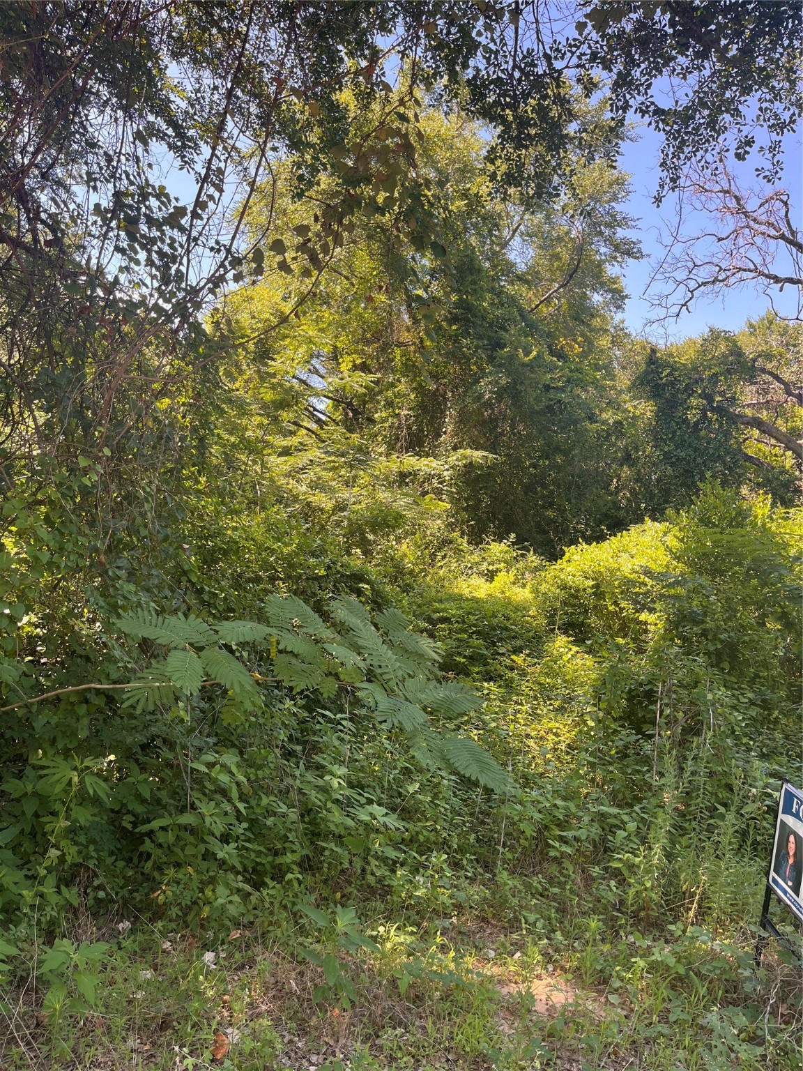 0 Ponderosa Drive Eustace TX 75124