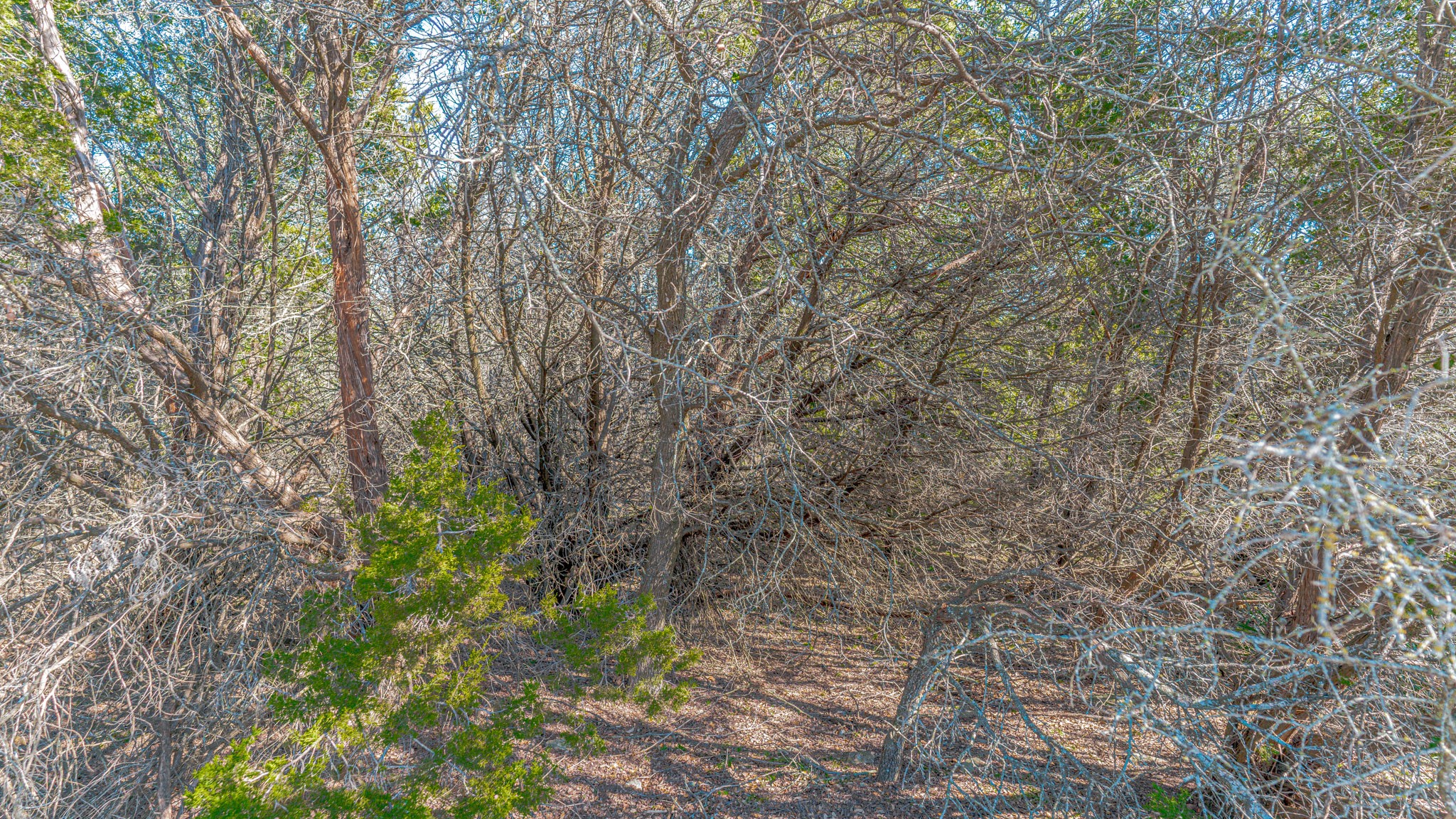 21051 Hill Terrace Court Whitney TX 76692