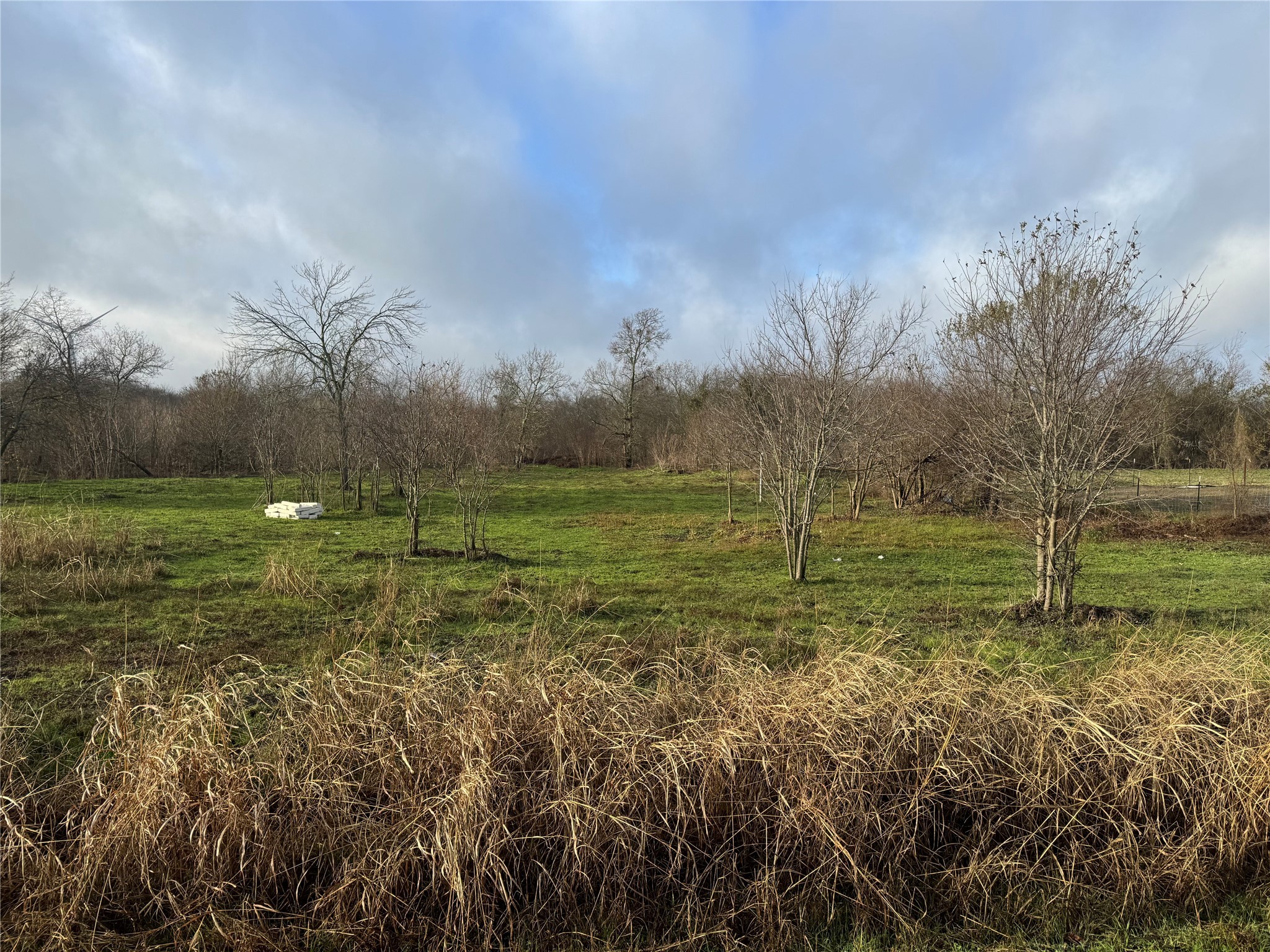 Mount Calm TX 76673