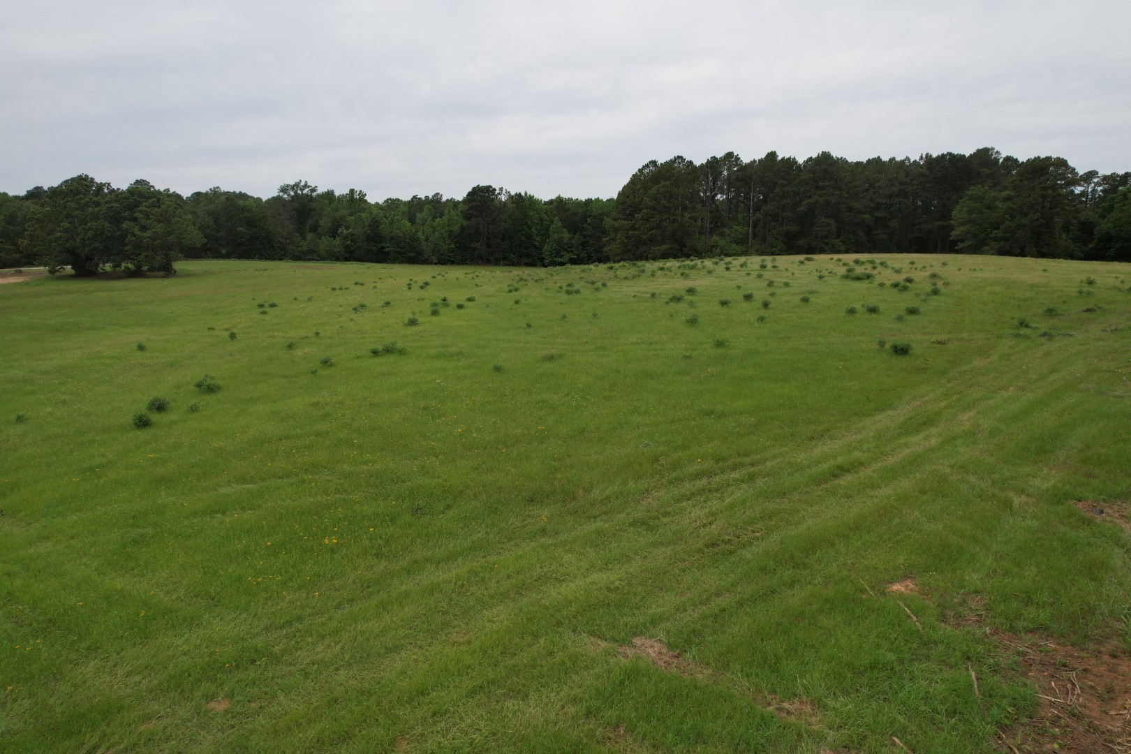 Tbd-c Fm 2867 Henderson TX 75654