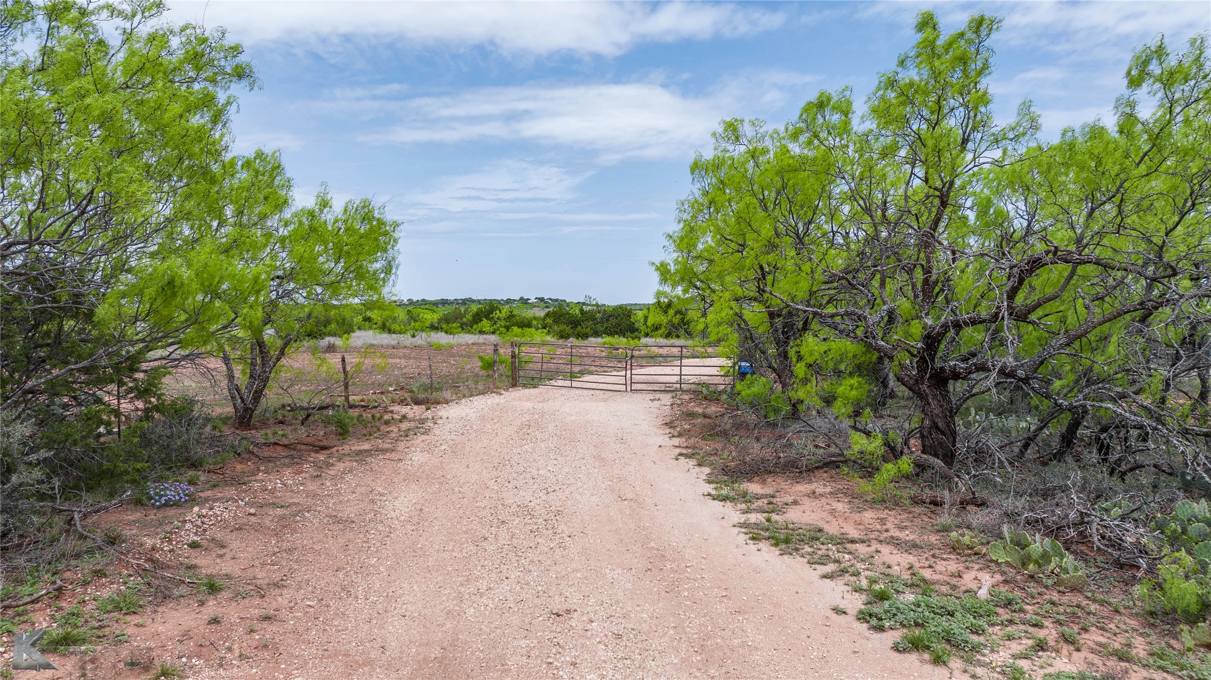 Tbd County Road 154 Tuscola TX 79562