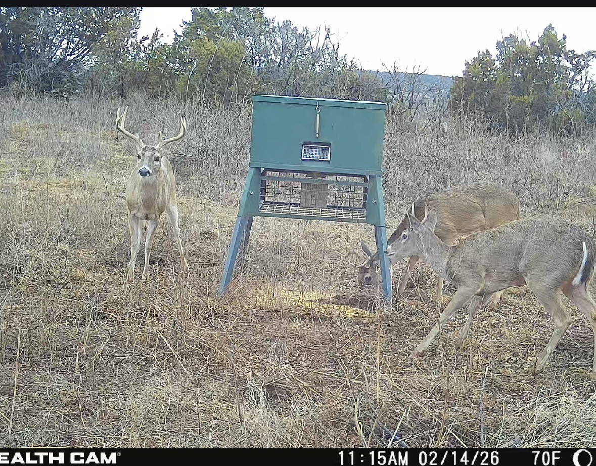 Tbd County Road 154 Tuscola TX 79562