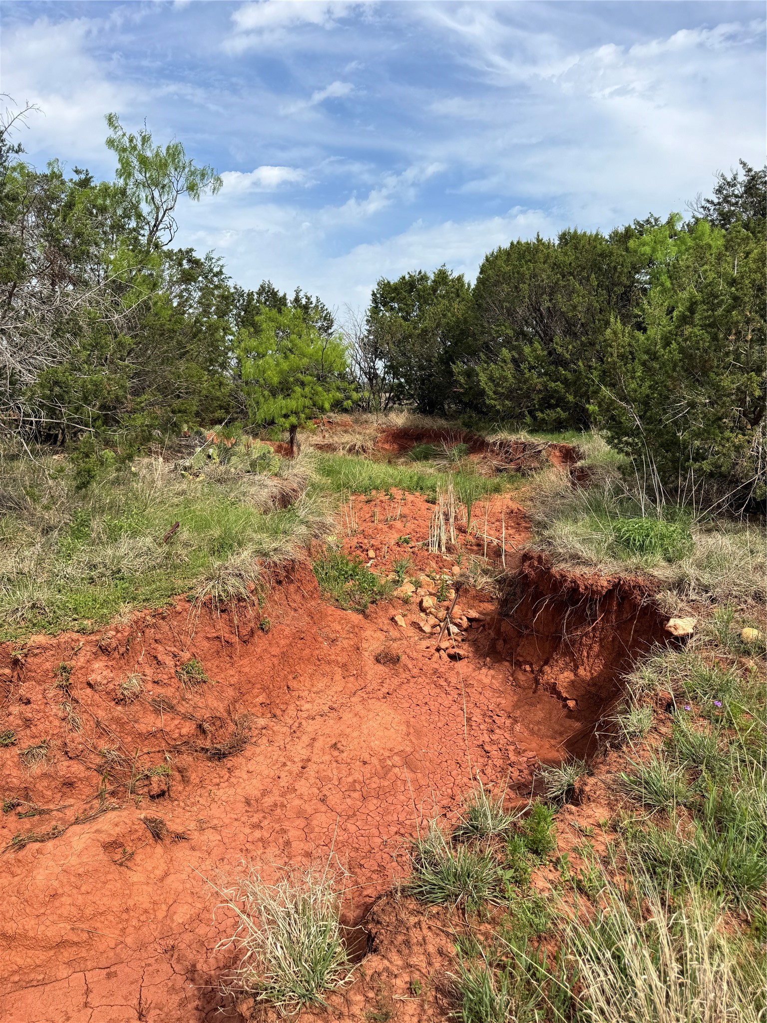 Tbd County Road 154 Tuscola TX 79562