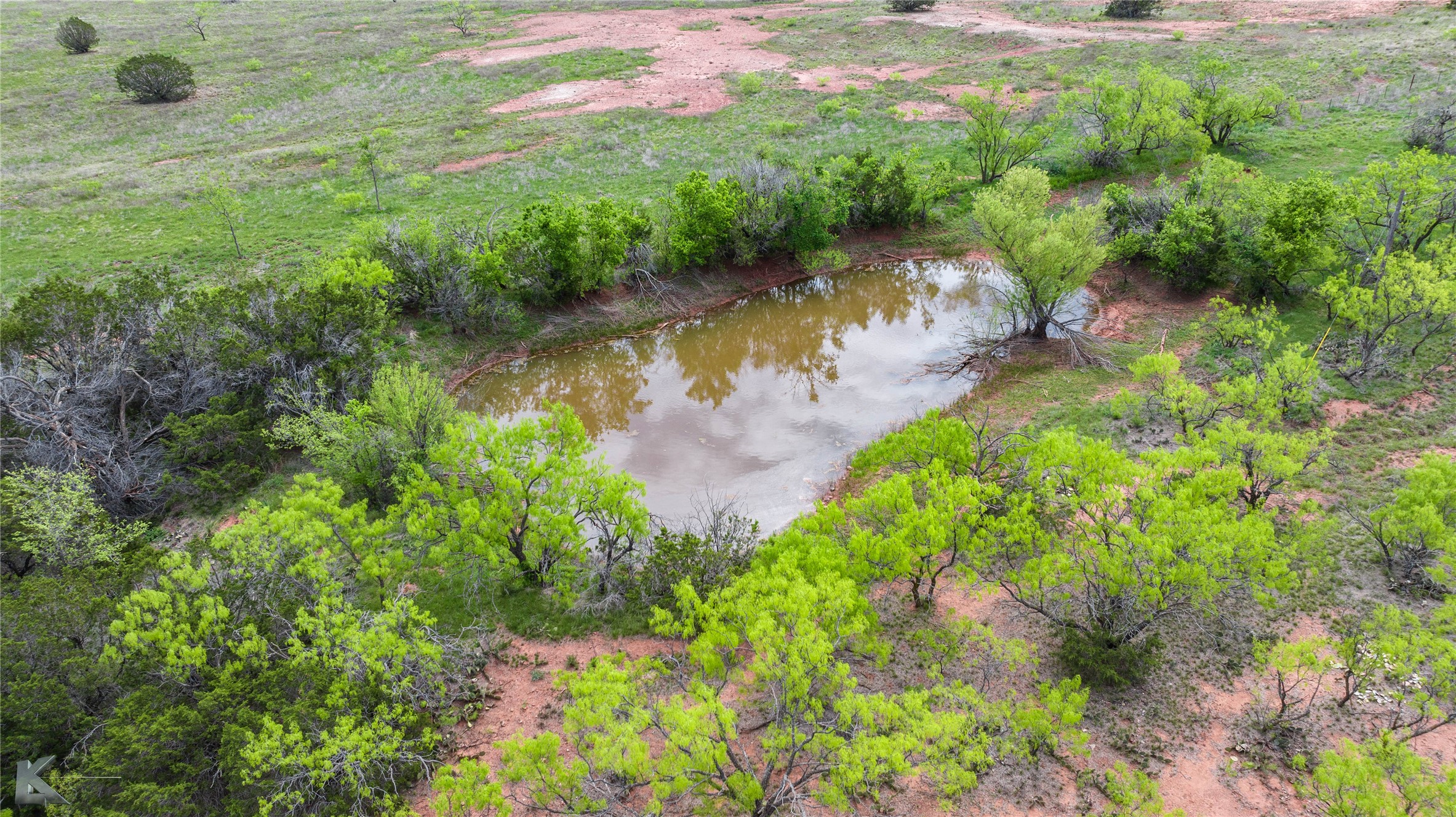 Tbd County Road 154 Tuscola TX 79562
