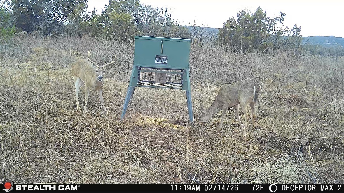 Tbd County Road 154 Tuscola TX 79562