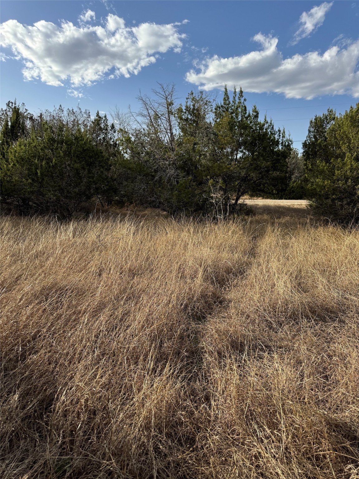 32039 Dove Trail Whitney TX 76692