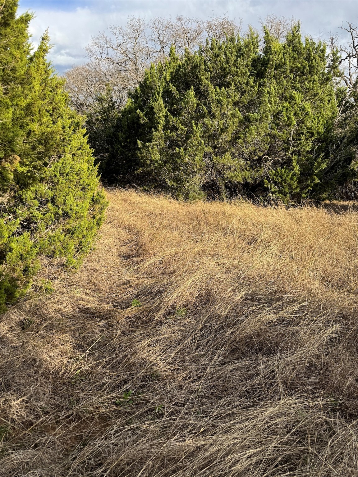 32039 Dove Trail Whitney TX 76692