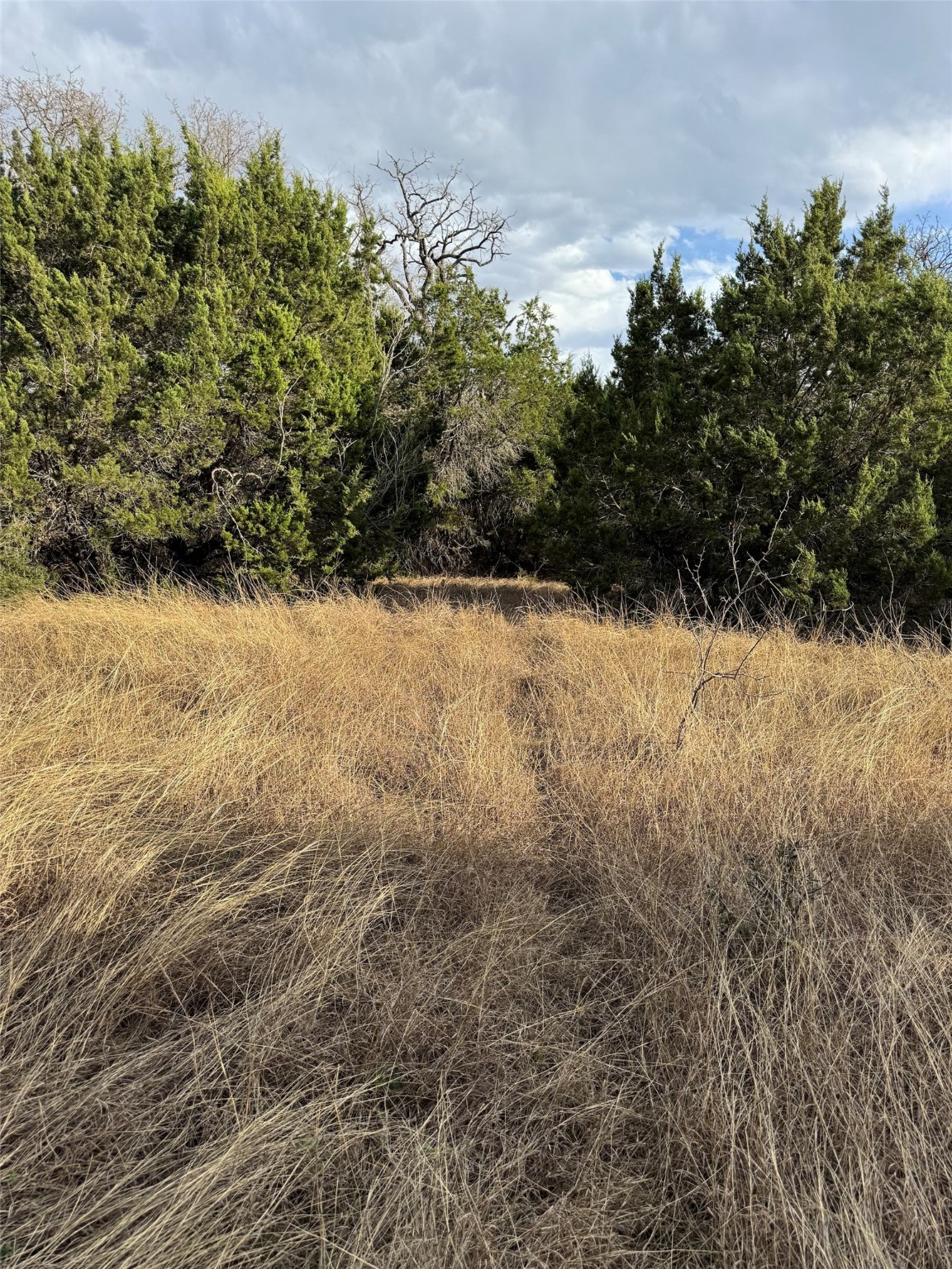 32039 Dove Trail Whitney TX 76692