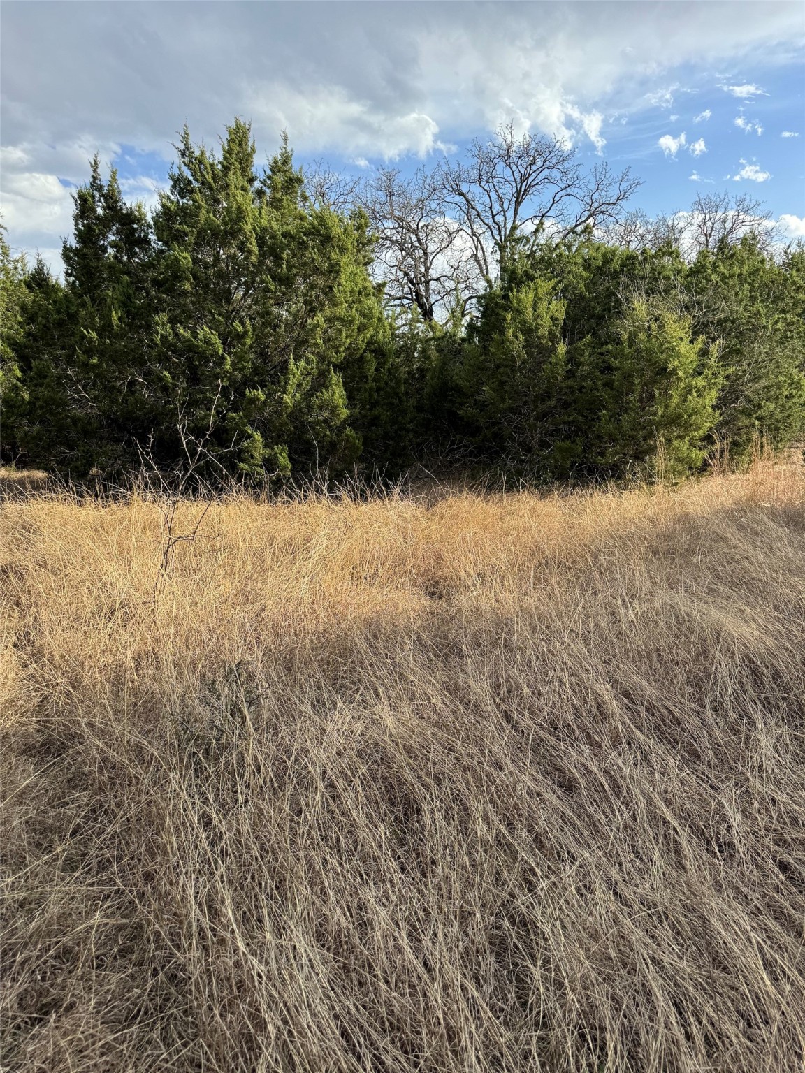 32039 Dove Trail Whitney TX 76692
