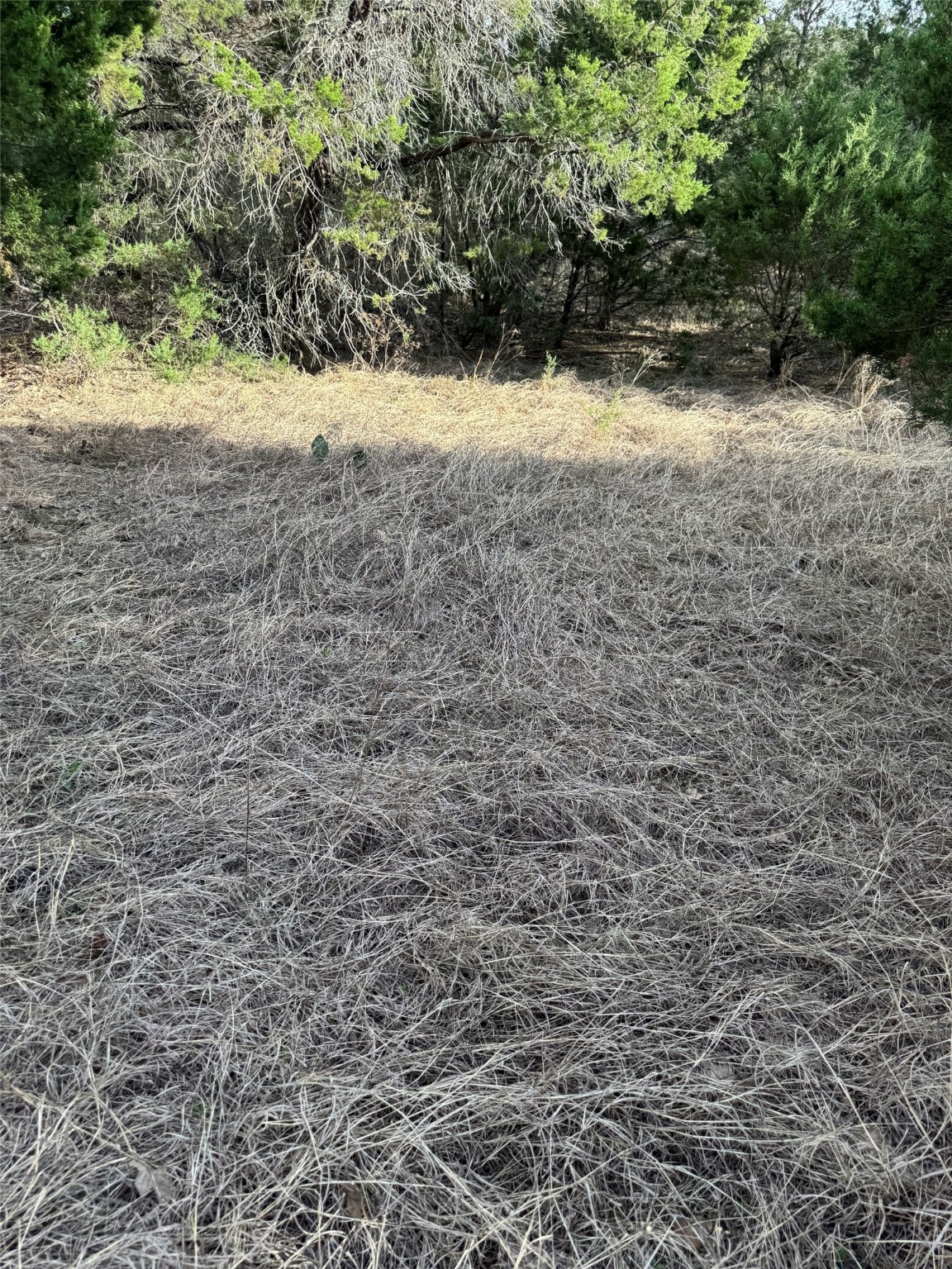 32039 Dove Trail Whitney TX 76692