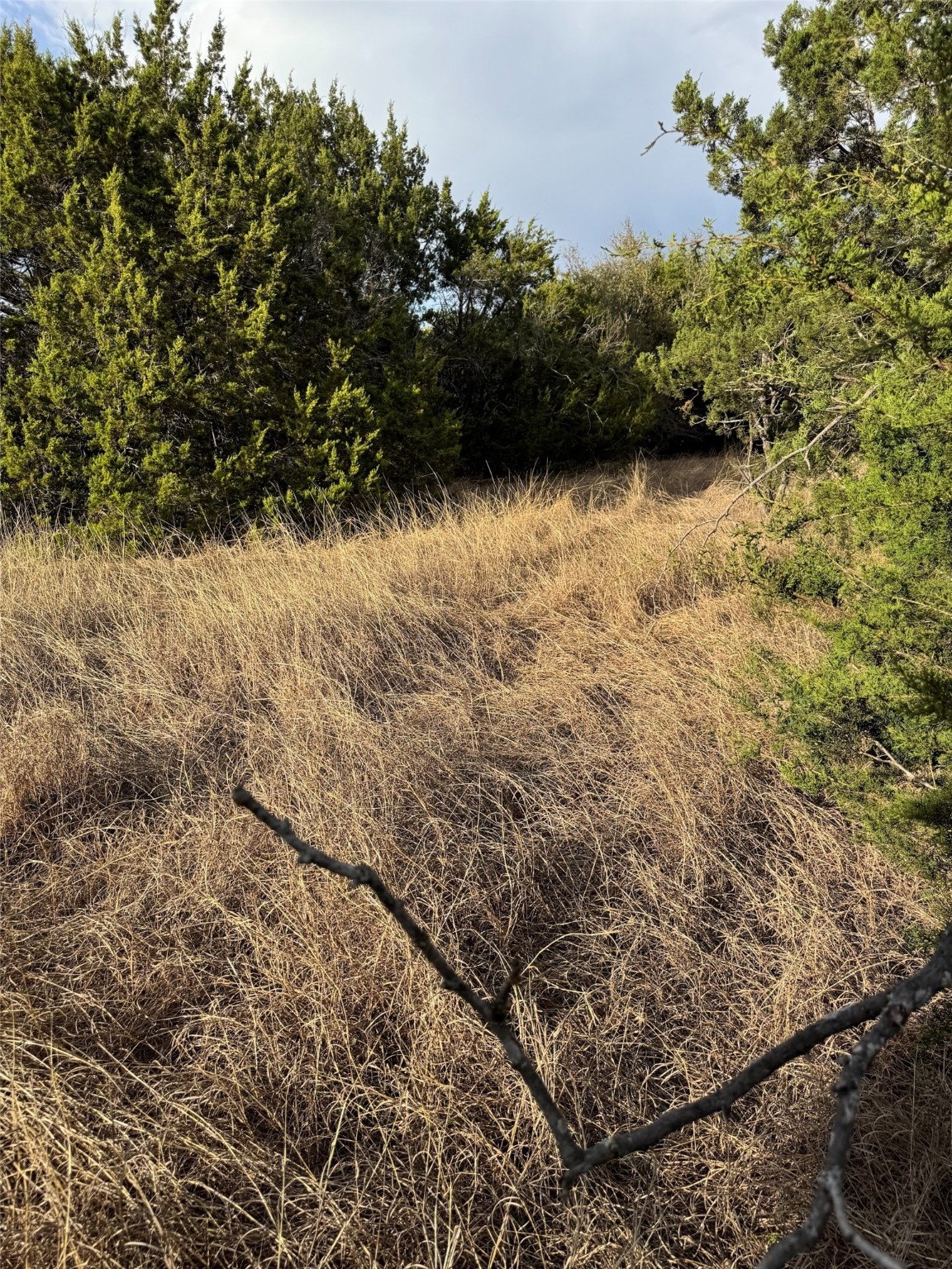 32039 Dove Trail Whitney TX 76692