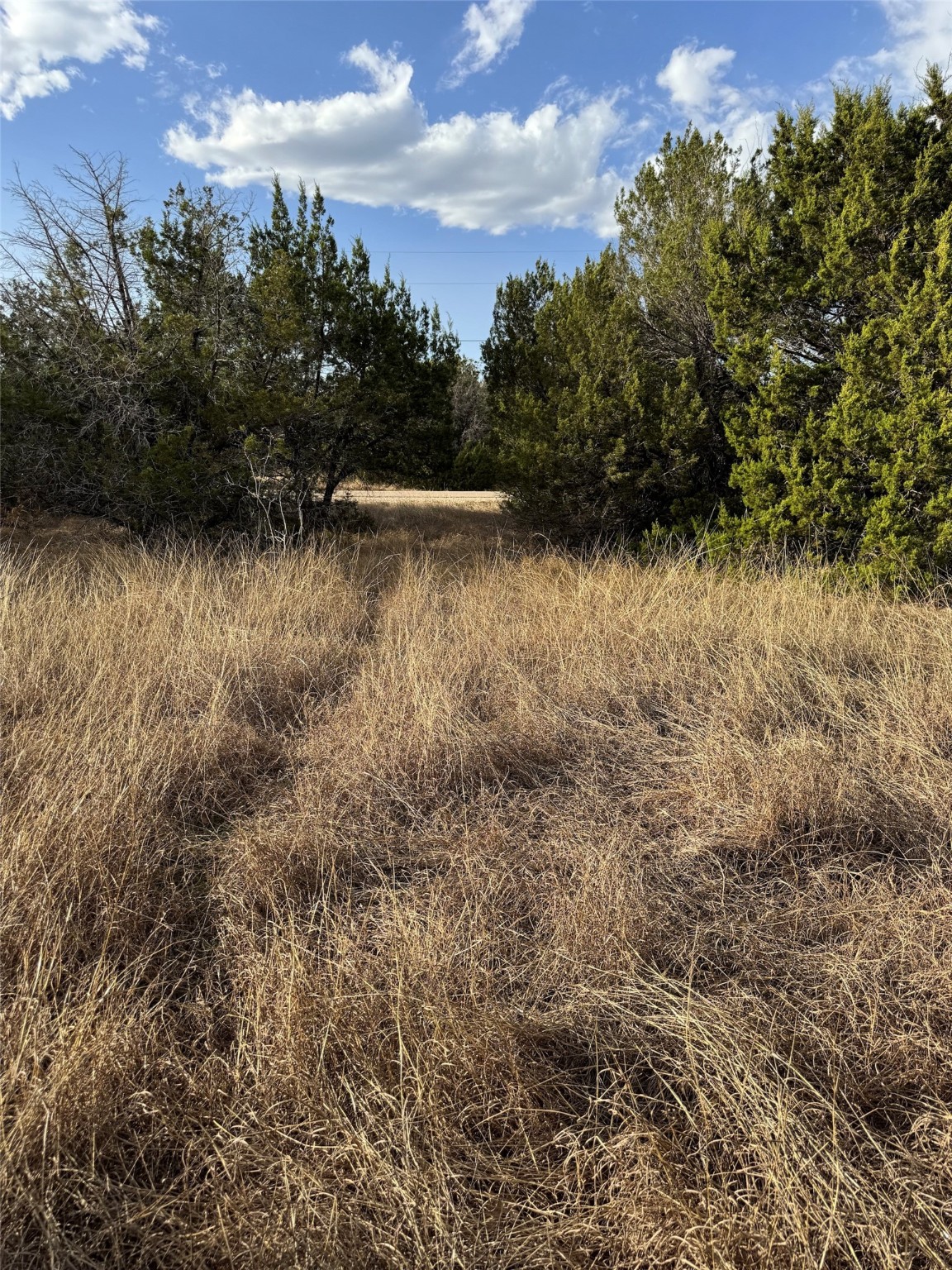 32039 Dove Trail Whitney TX 76692