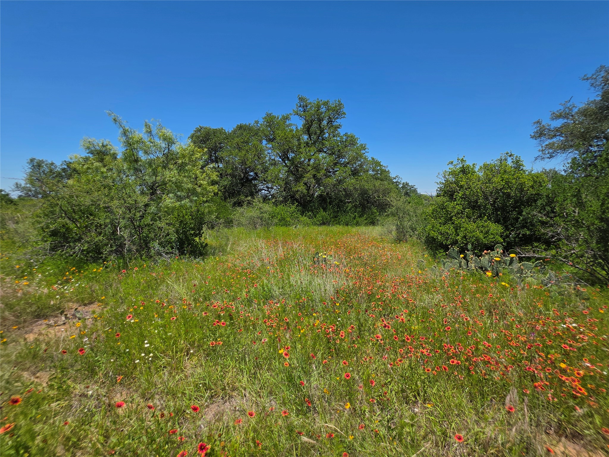 13915 County Road 237 Brownwood TX 76801