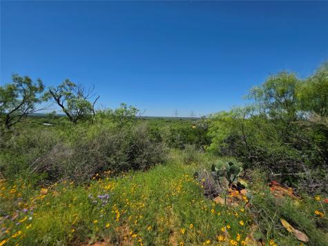 13915 County Road 237 Brownwood TX 76801