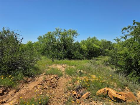 13915 County Road 237 Brownwood TX 76801