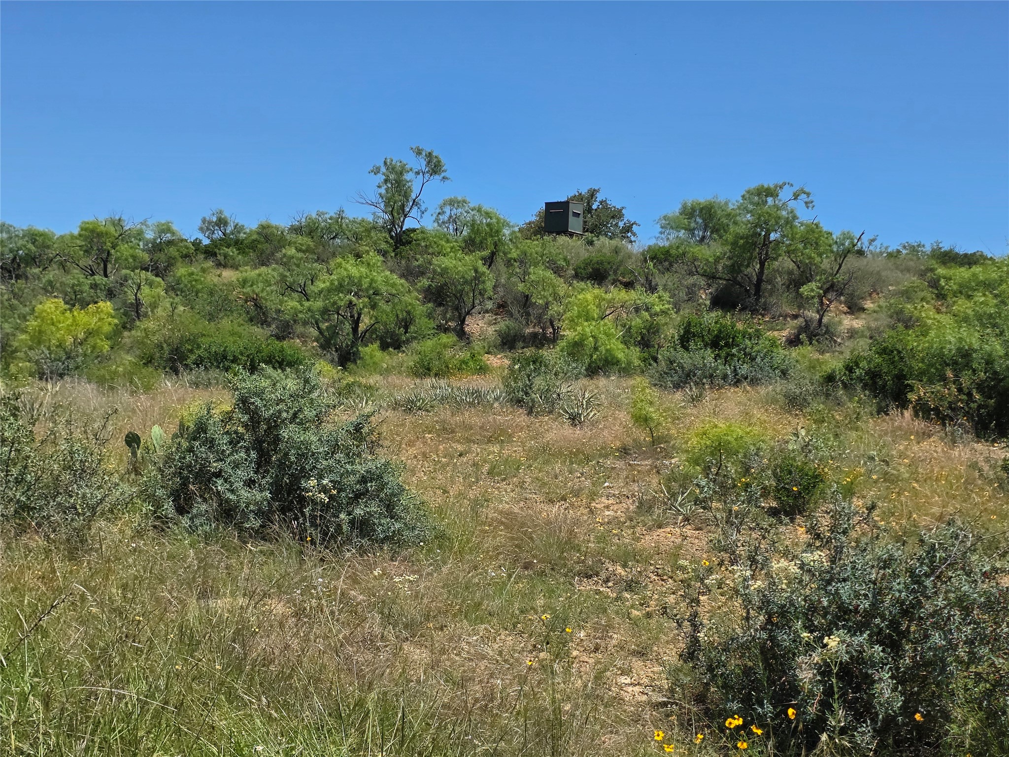 13915 County Road 237 Brownwood TX 76801