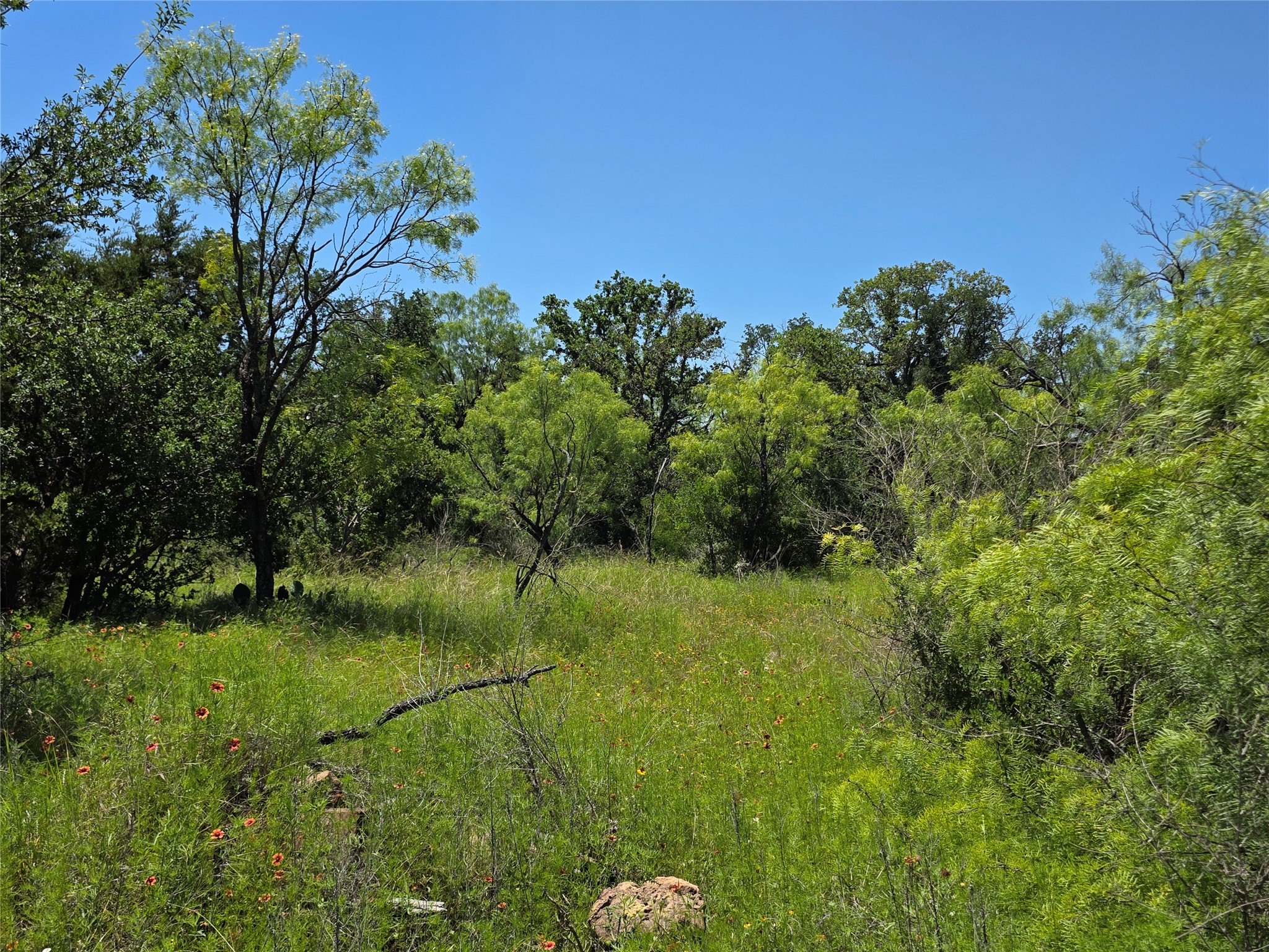 13915 County Road 237 Brownwood TX 76801