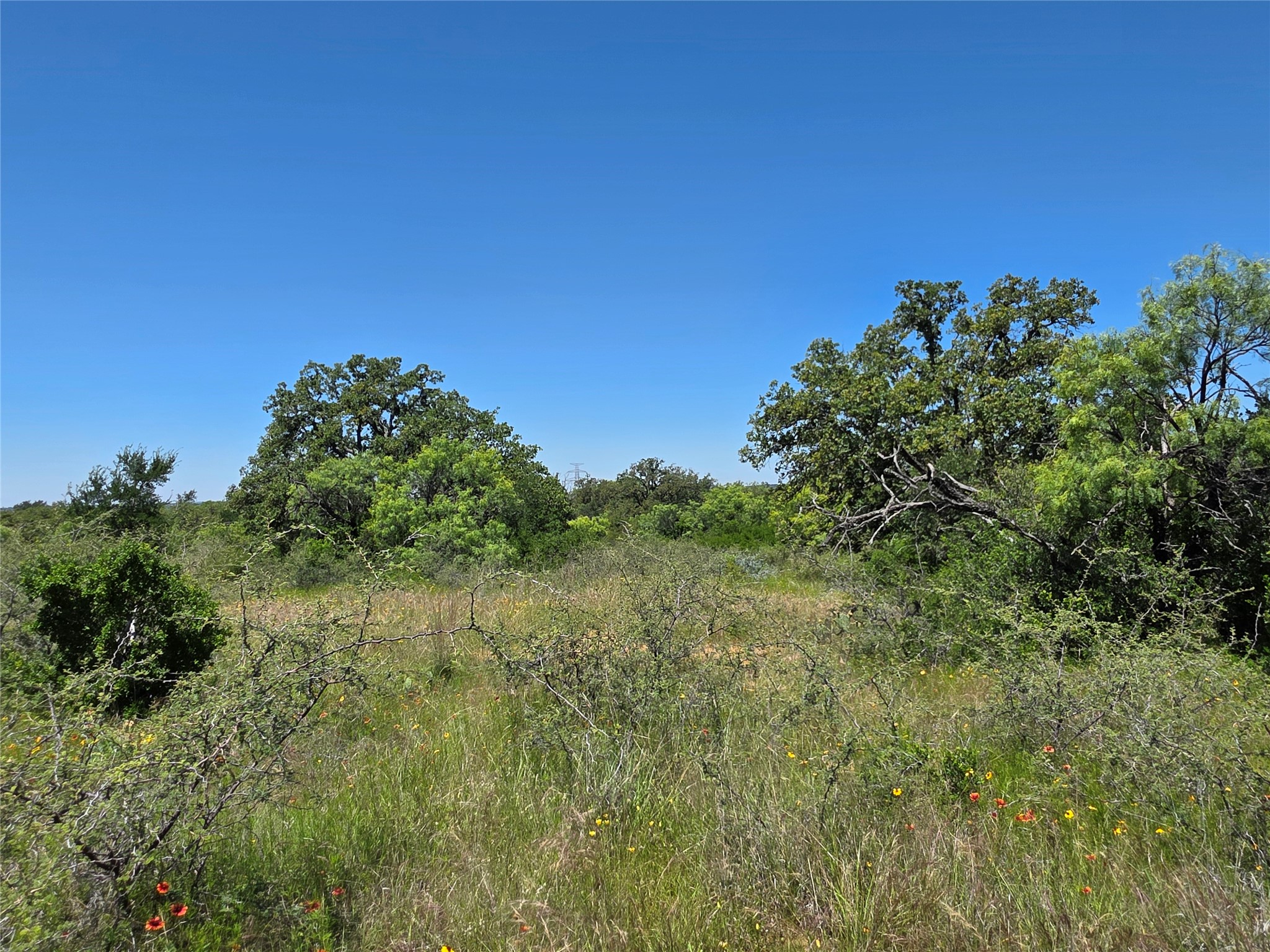 13915 County Road 237 Brownwood TX 76801