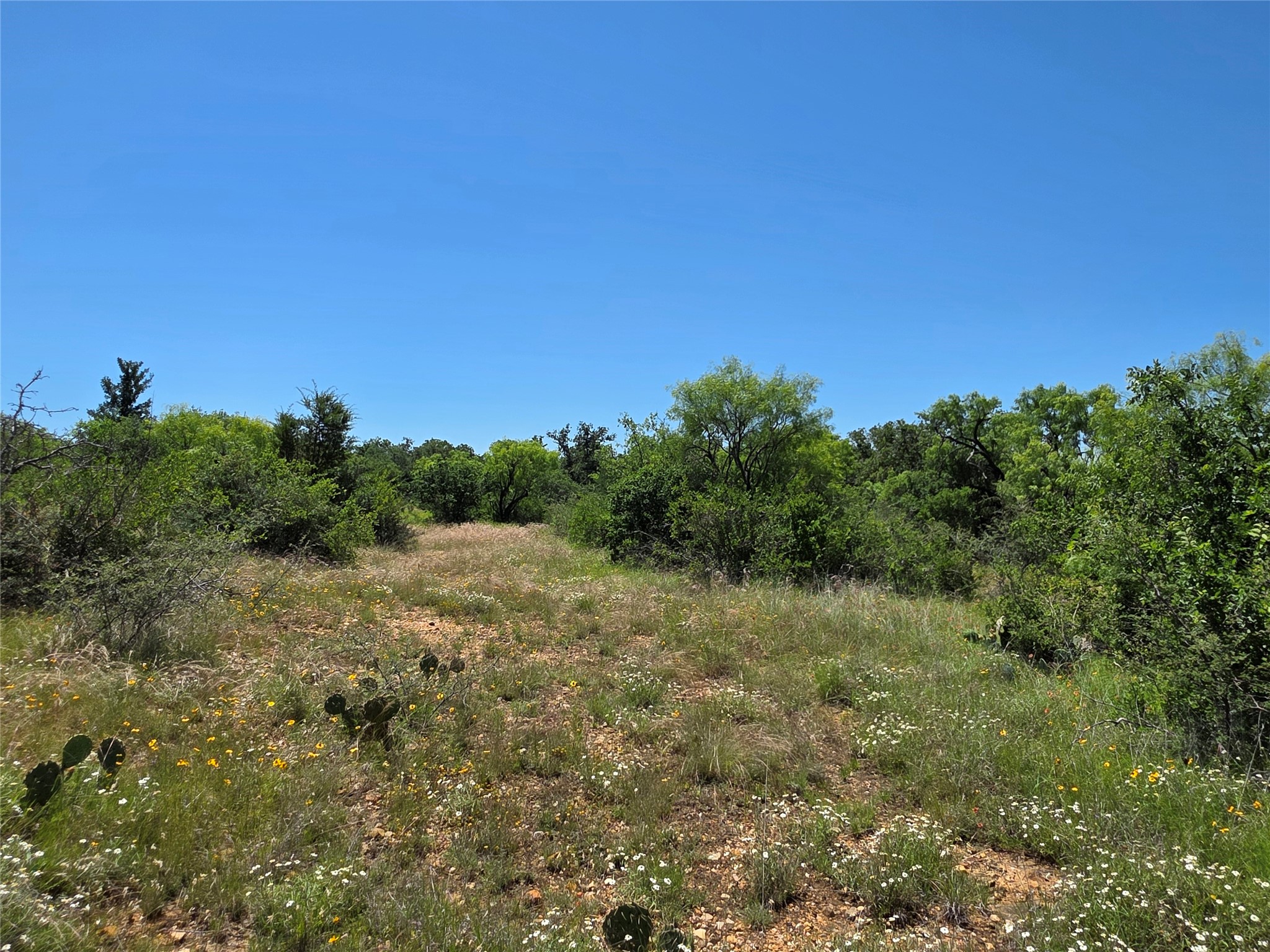 13915 County Road 237 Brownwood TX 76801