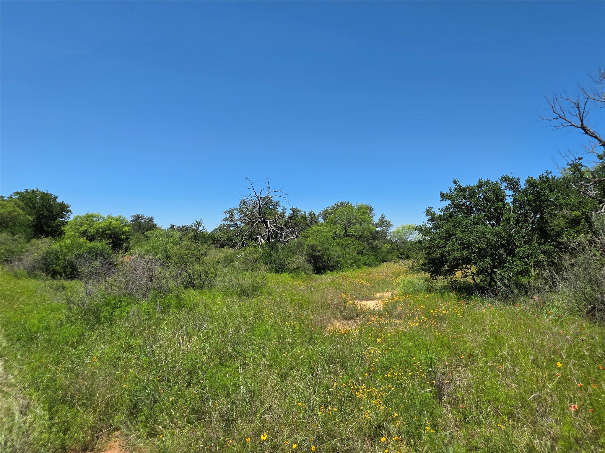 13915 County Road 237 Brownwood TX 76801