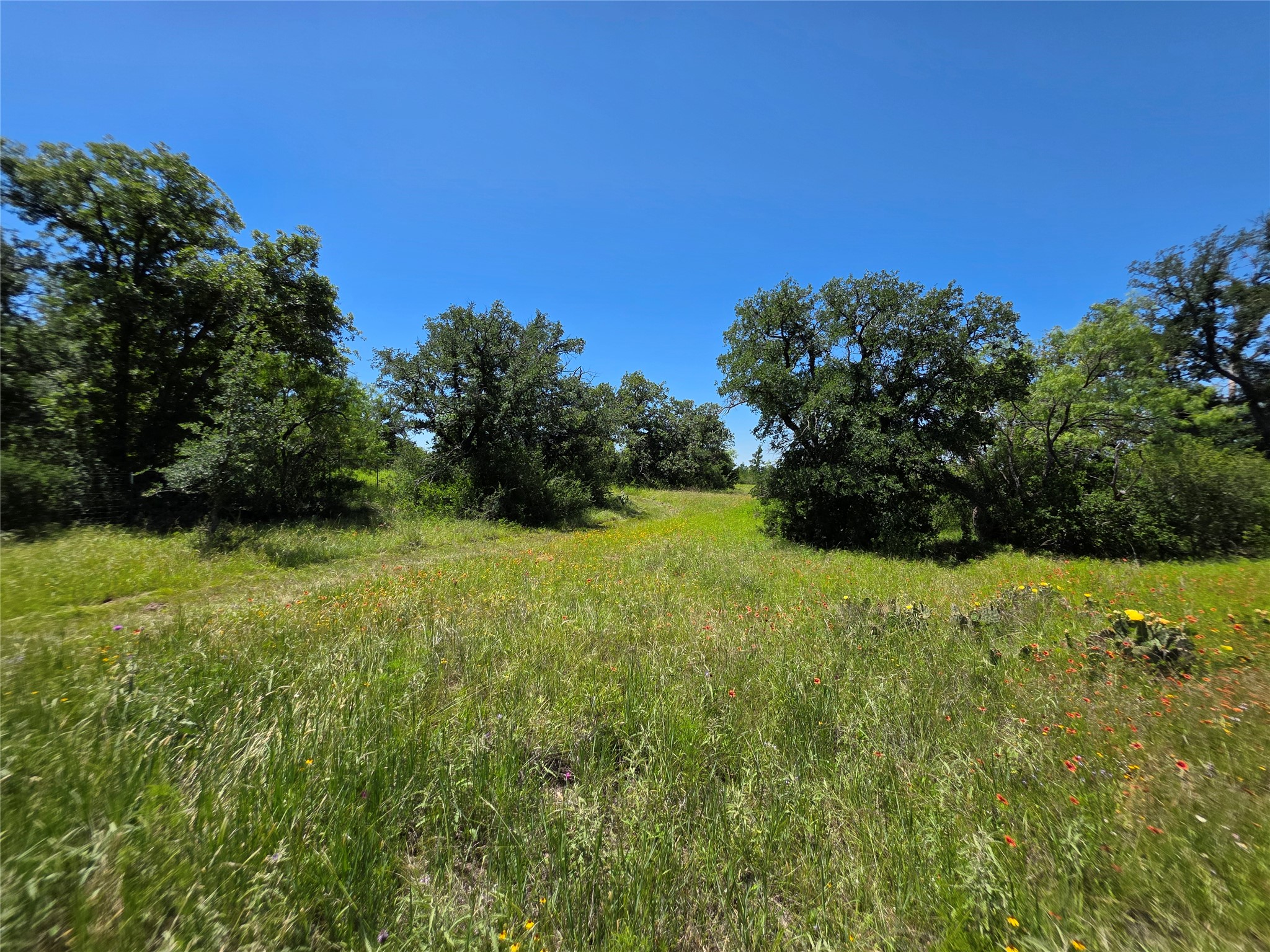 13915 County Road 237 Brownwood TX 76801
