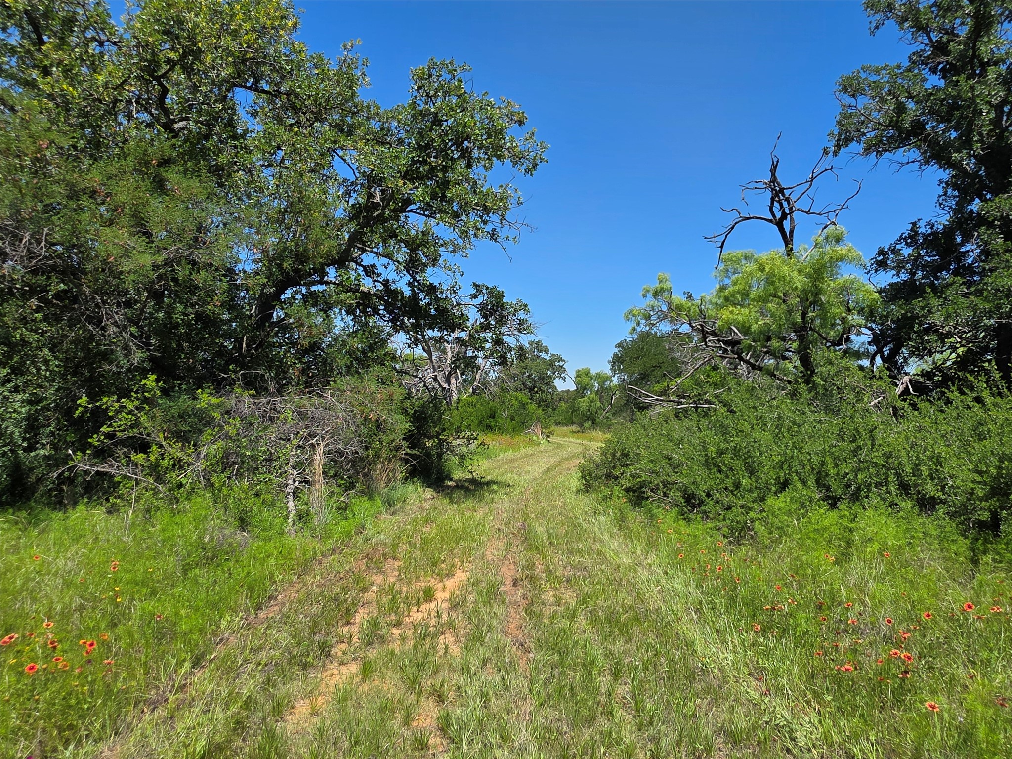 13915 County Road 237 Brownwood TX 76801