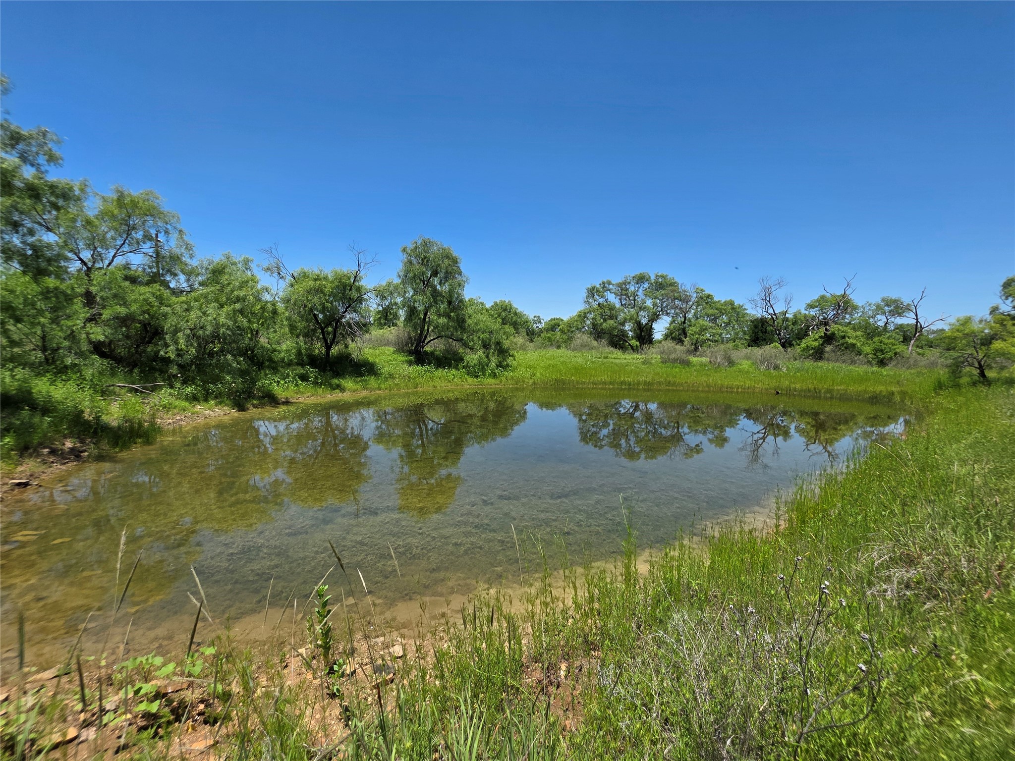 13915 County Road 237 Brownwood TX 76801