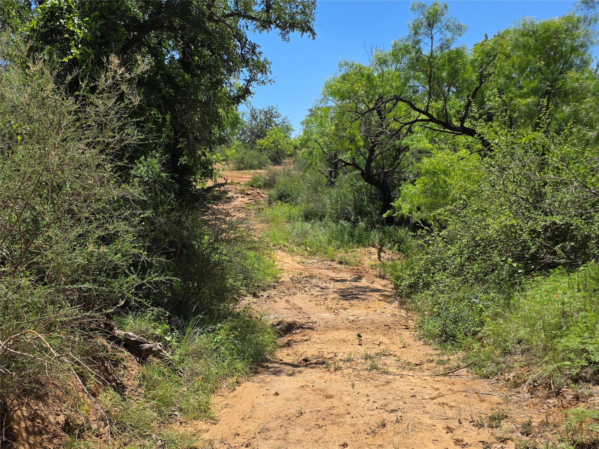 13915 County Road 237 Brownwood TX 76801