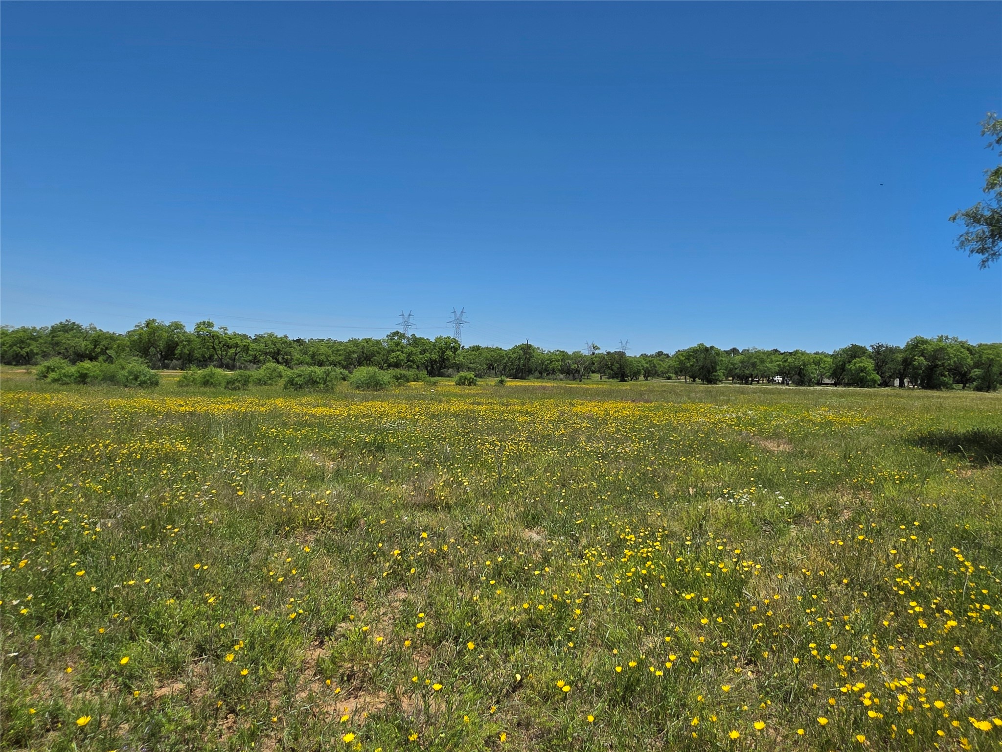 13915 County Road 237 Brownwood TX 76801