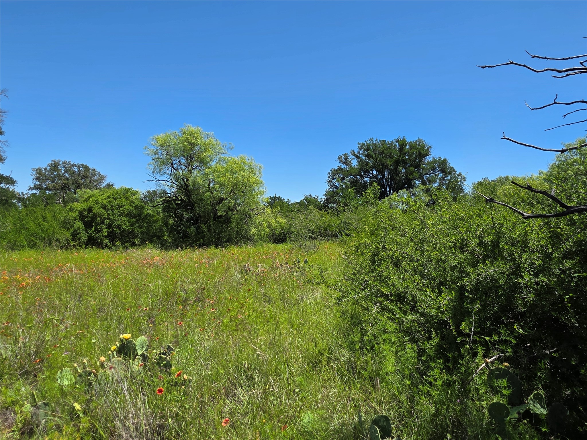 13915 County Road 237 Brownwood TX 76801