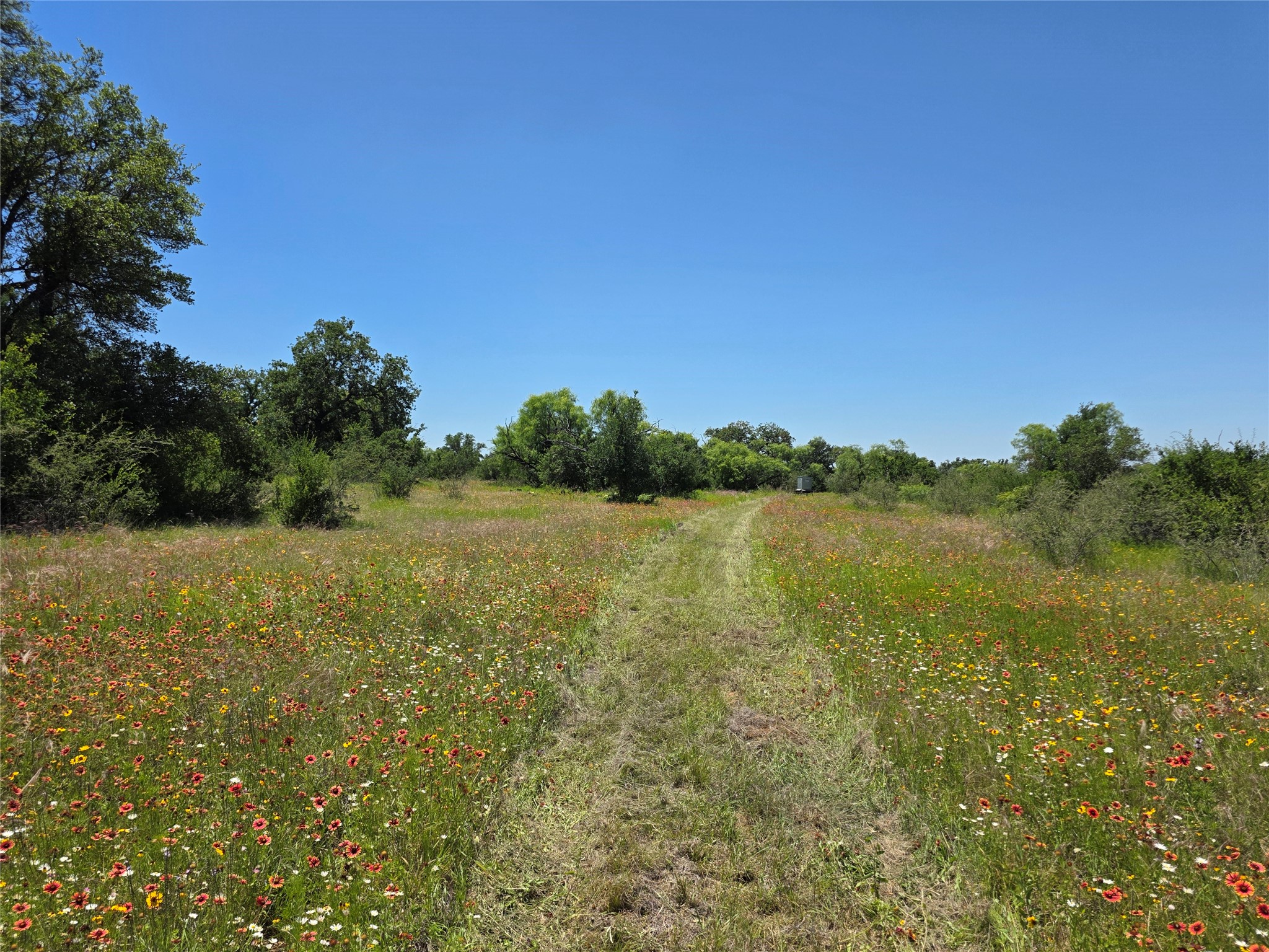 13915 County Road 237 Brownwood TX 76801