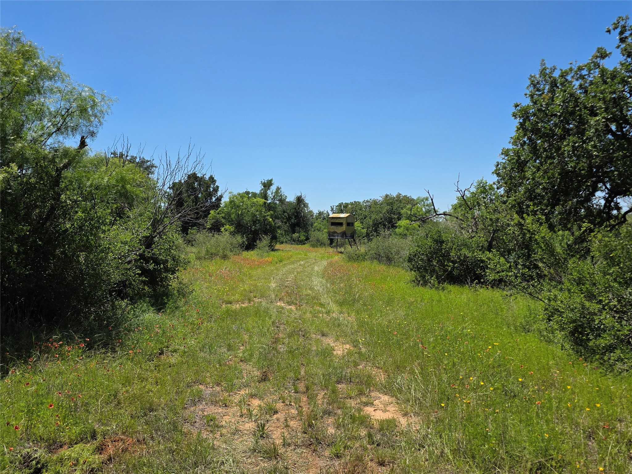 13915 County Road 237 Brownwood TX 76801