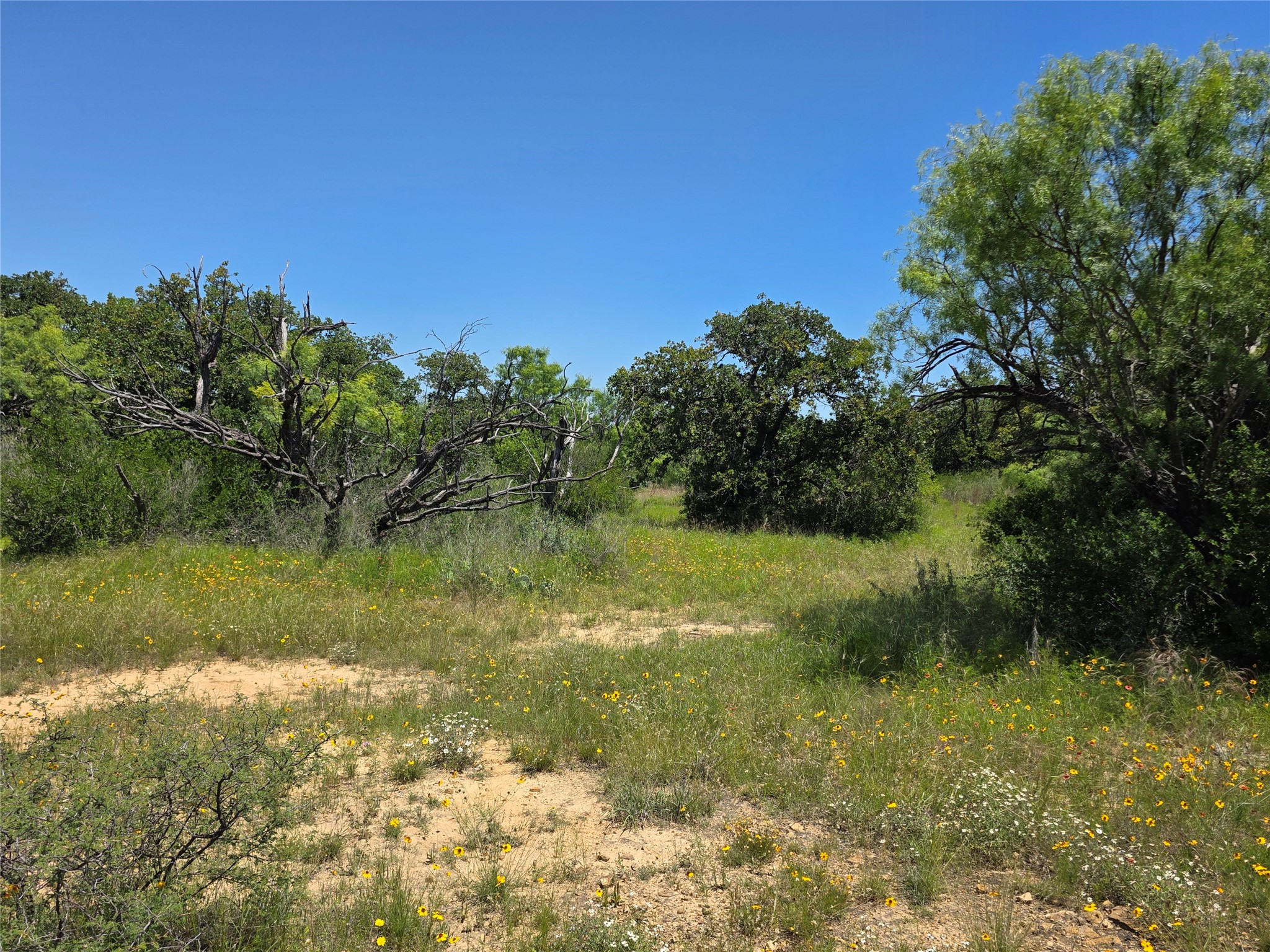 13915 County Road 237 Brownwood TX 76801