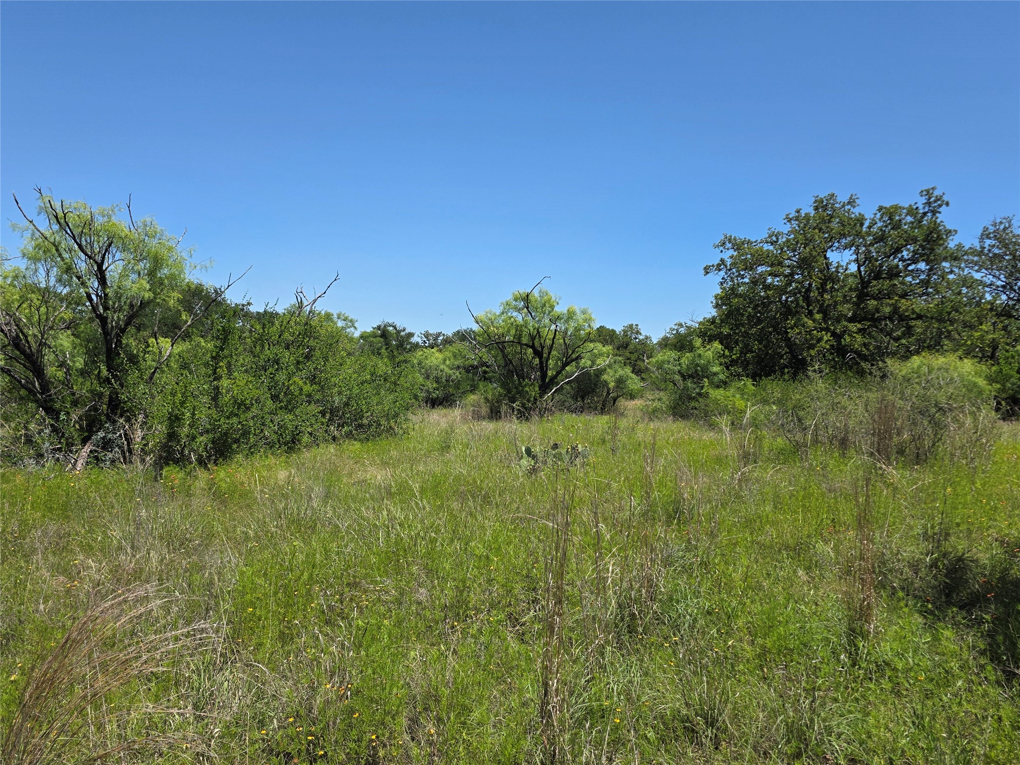 13915 County Road 237 Brownwood TX 76801