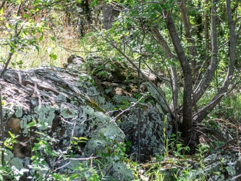 Lot 340 Moonlight Bay Drive Chico TX 76431