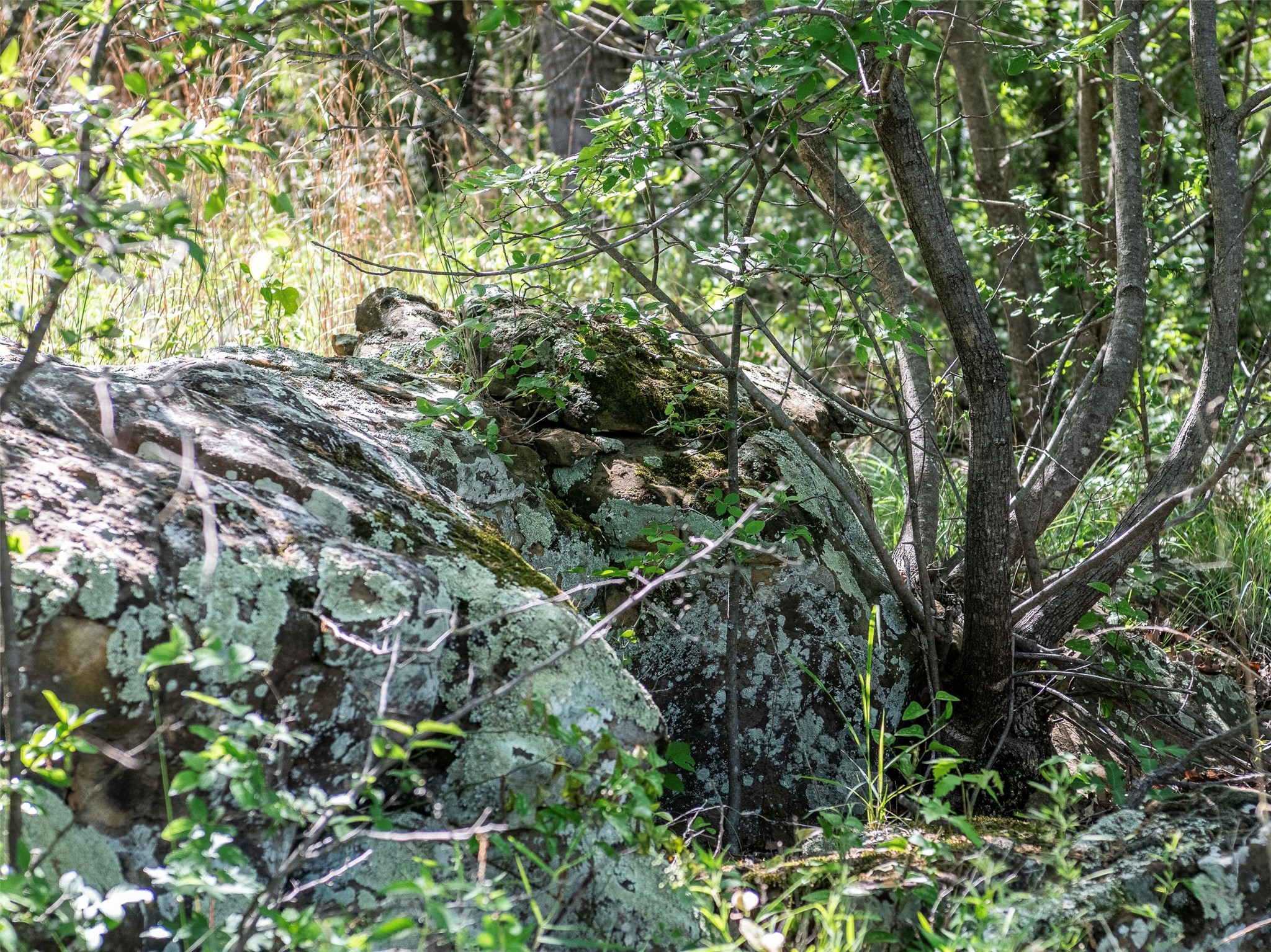 Lot 340 Moonlight Bay Drive Chico TX 76431