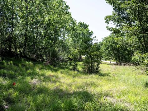 Lot 340 Moonlight Bay Drive Chico TX 76431