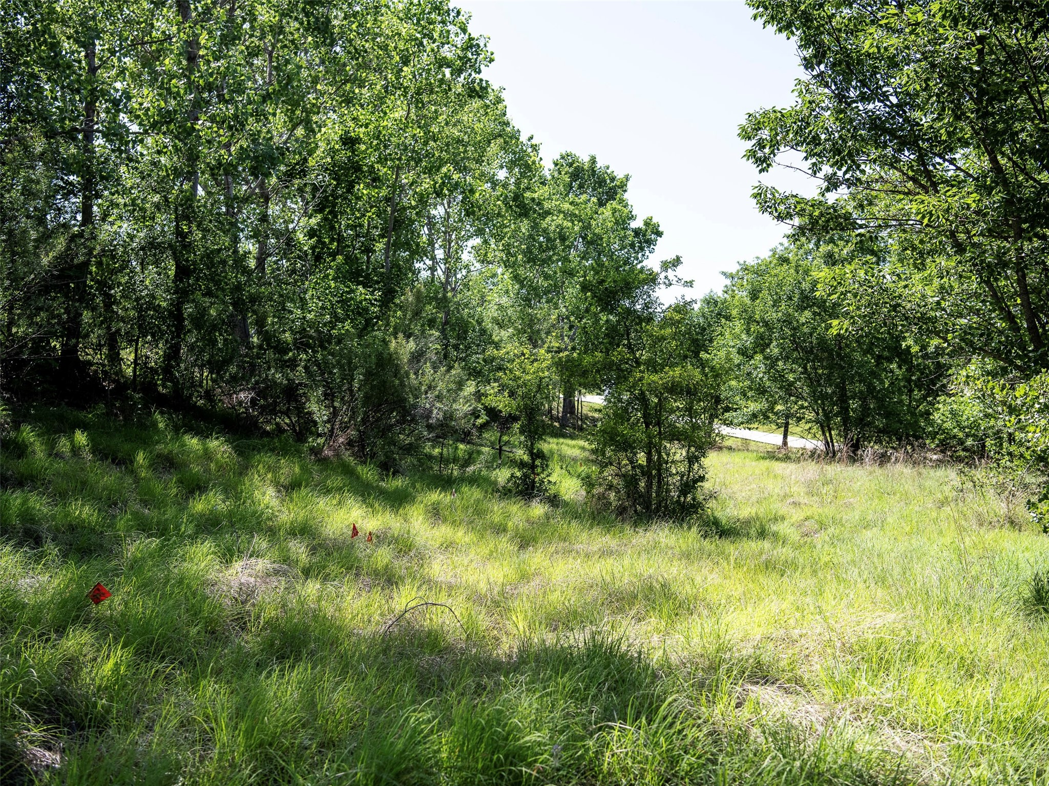 Lot 340 Moonlight Bay Drive Chico TX 76431