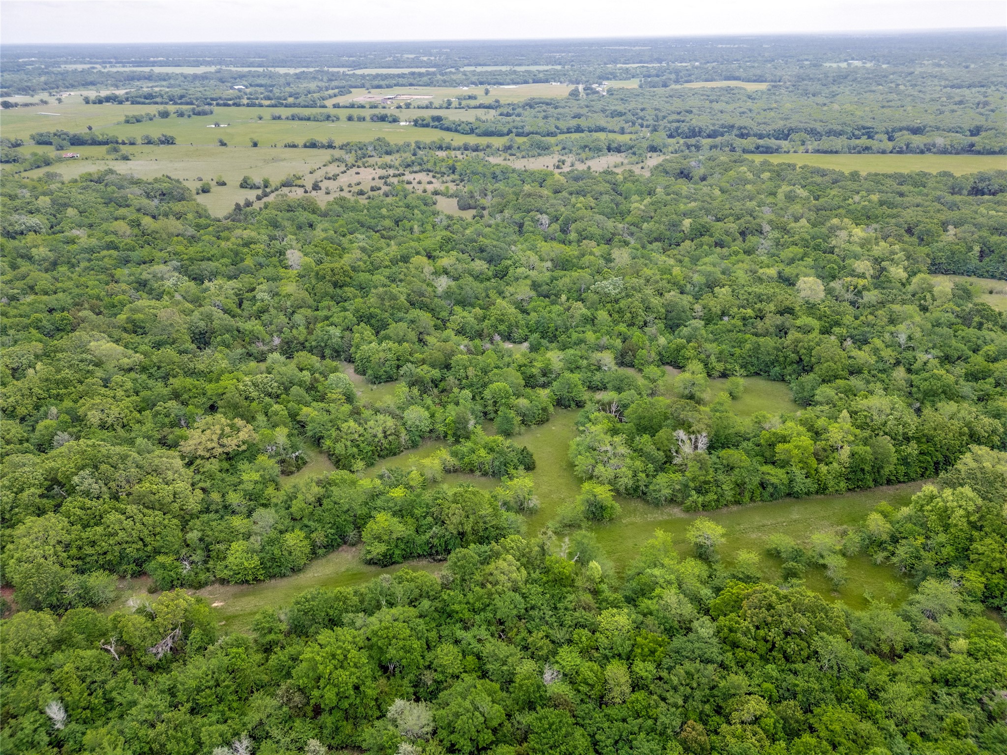 494 County Road 4589 Sulphur Springs TX 75482