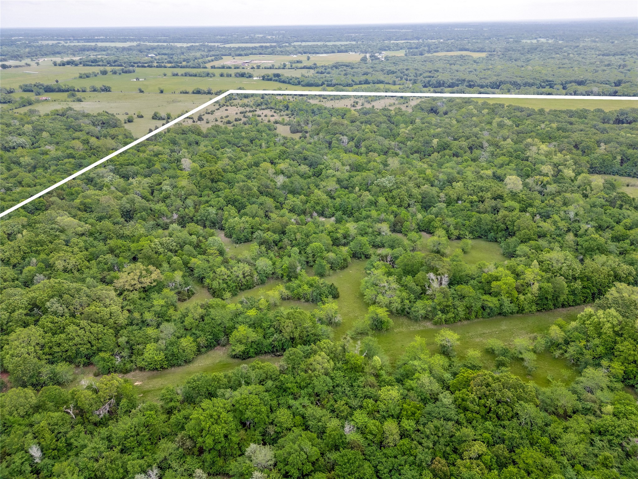 494 County Road 4589 Sulphur Springs TX 75482