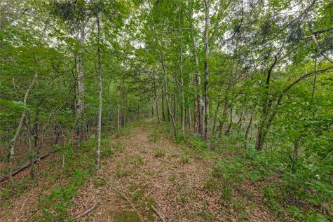 494 County Road 4589 Sulphur Springs TX 75482