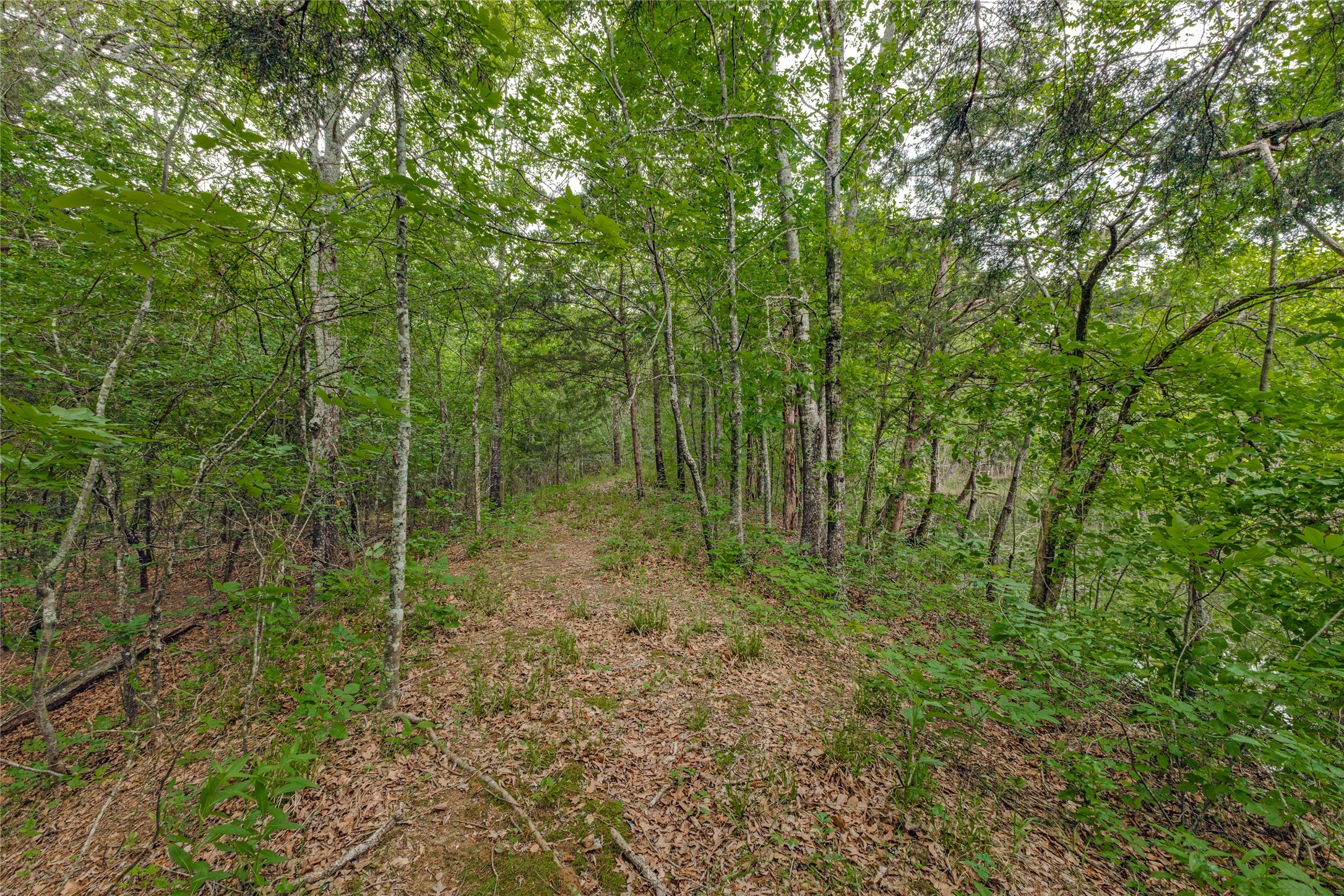 494 County Road 4589 Sulphur Springs TX 75482