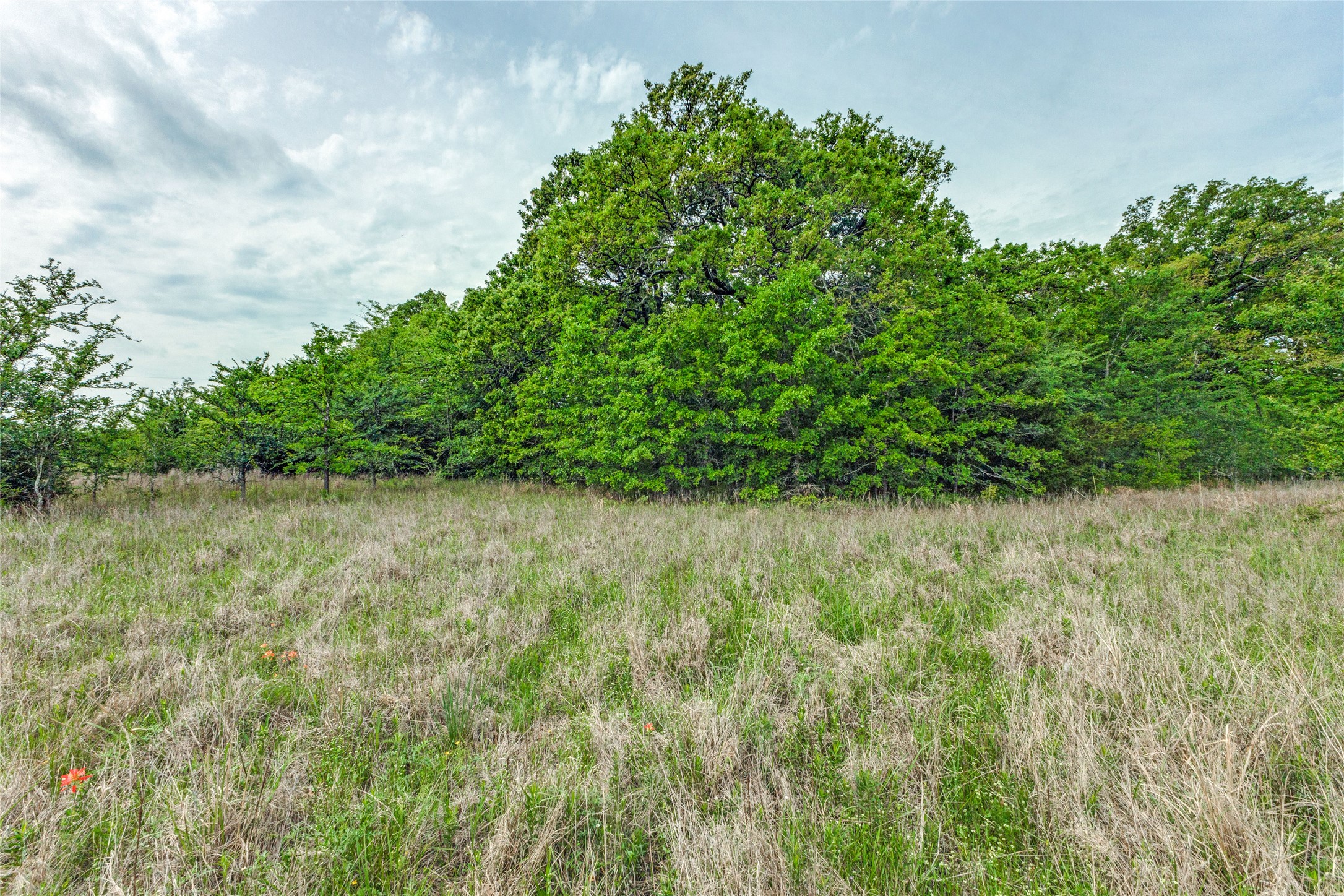 494 County Road 4589 Sulphur Springs TX 75482