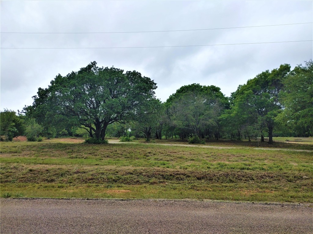 8675 Hutcheson Hill Road Springtown TX 76082