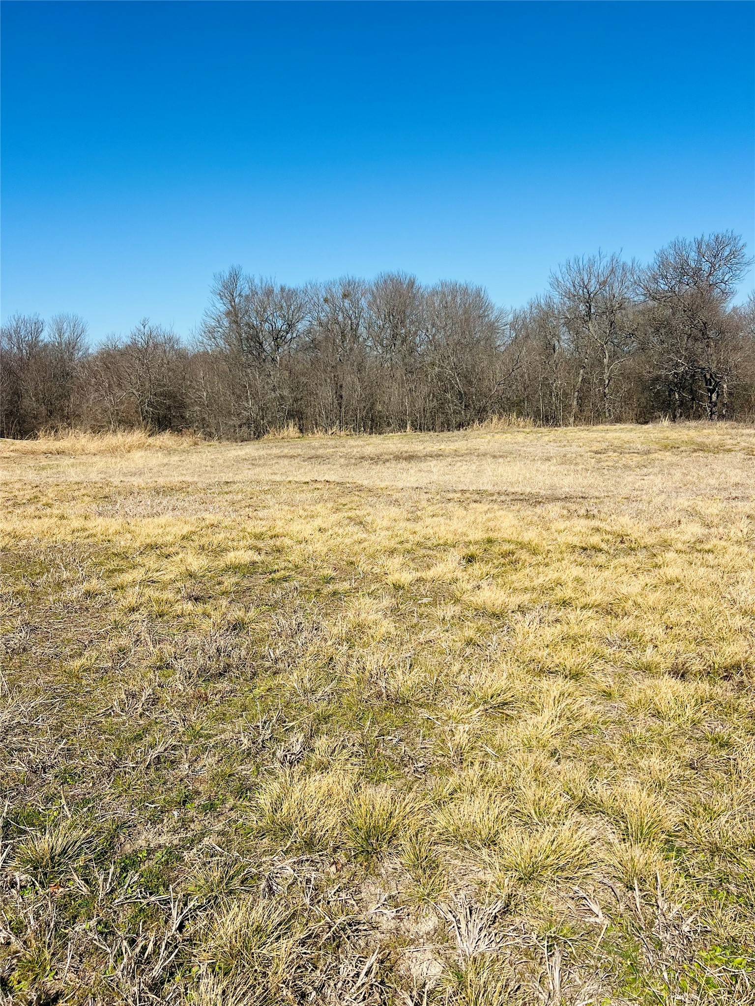 4138 Weeping Oak Royse City TX 75189