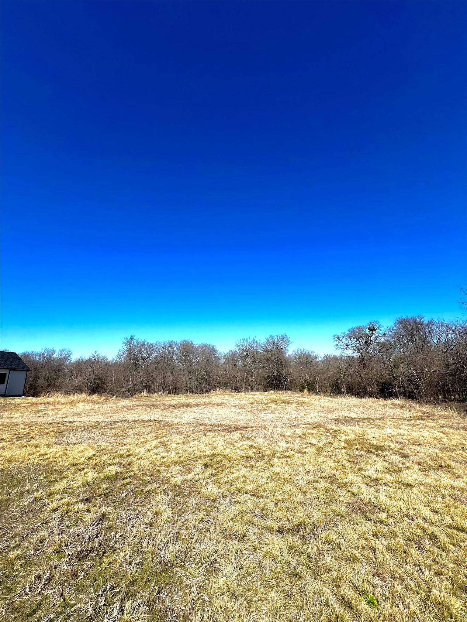 4138 Weeping Oak Royse City TX 75189