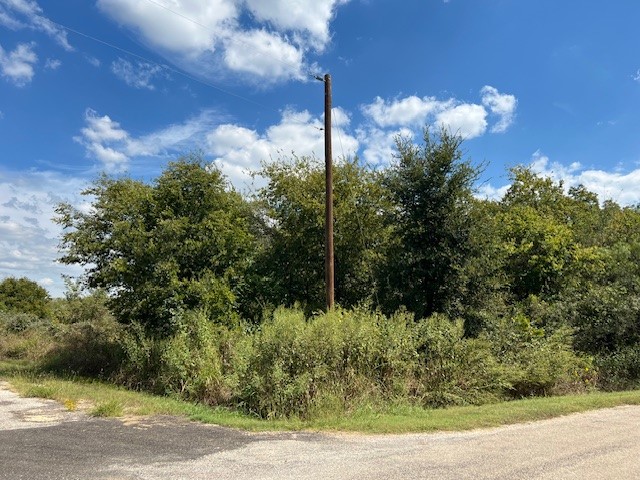 22124 Greenbriar Drive Whitney TX 76692