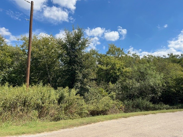 22124 Greenbriar Drive Whitney TX 76692