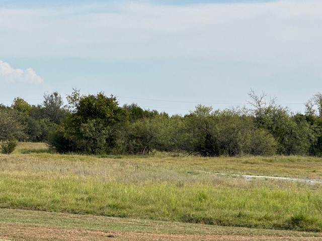 1015 White Bluff Drive Whitney TX 76692