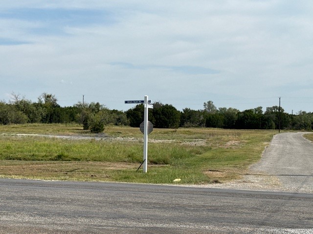 1015 White Bluff Drive Whitney TX 76692